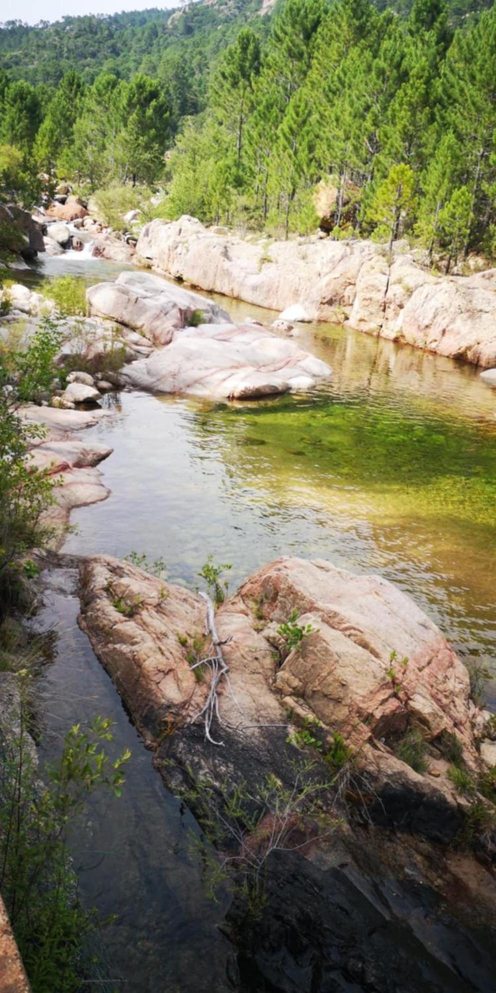 Auberge De Cannedda Sari-Solenzara Bagian luar foto